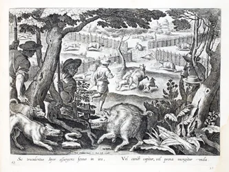 A ferocious wild boar rises up in anger, dogs drive other into the waters, illustration from 